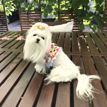 Softgeschirr *FLOWER POWER *