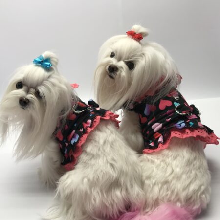 Softgeschirr *LOVELY BLACK HEART *