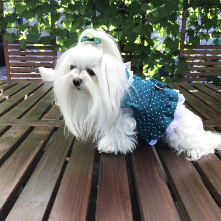 Softgeschirr * PETROL DOTTY*