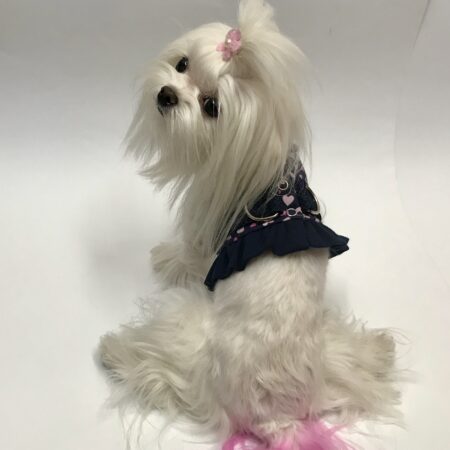 Softgeschirr *LOVELY PURPLE HEART *