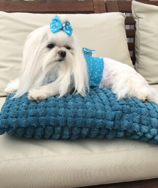 Softgeschirr *TÜRKIS DOTTY*