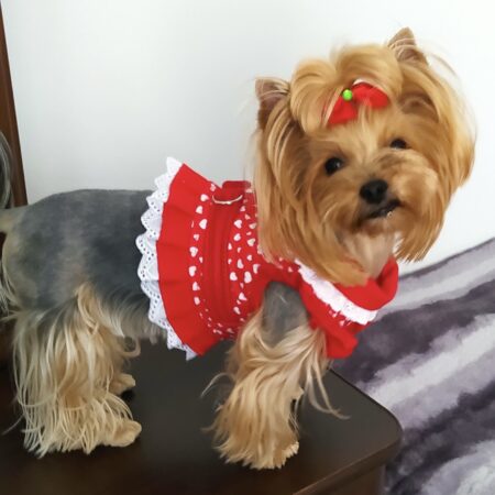 Softgeschirr * LOVELY HEART RED  *