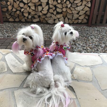 Softgeschirr * PINK FLOWER *