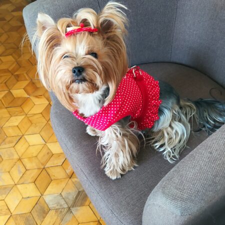 Softgeschirr * Red & White * Dots