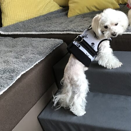 Softgeschirr * SKULLY GREY *