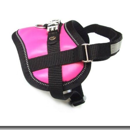 Softgeschirr mit HUNDENAME PINK