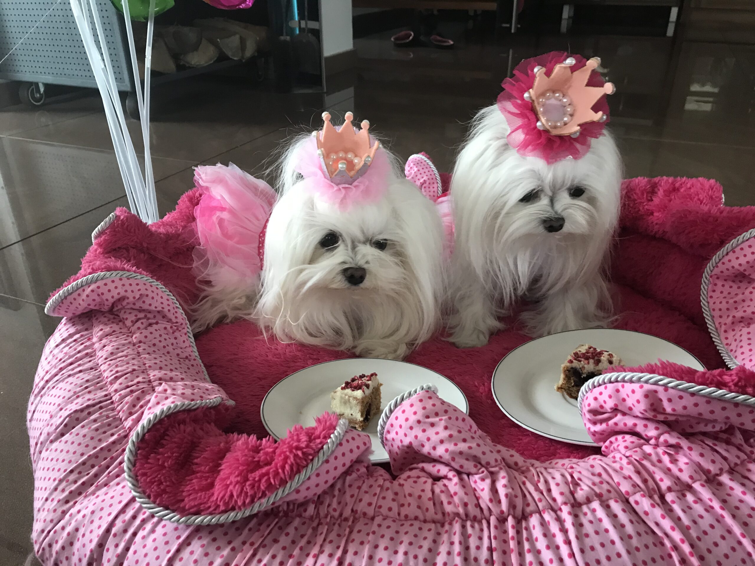 Spange BIG Krone Rose Silber