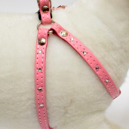Strassgeschirr mit Klick aus Ziegenleder ROSE