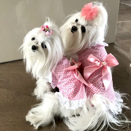 T-Shirt AMELIE rosa mit Rüschen und Spitze