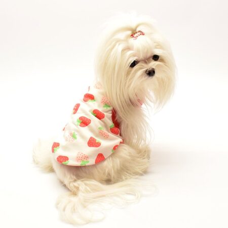 T-Shirt LOVELY ERDBEERE