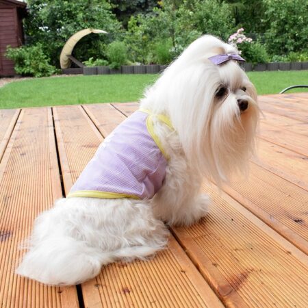 T-Shirt FLIEDER BLUME