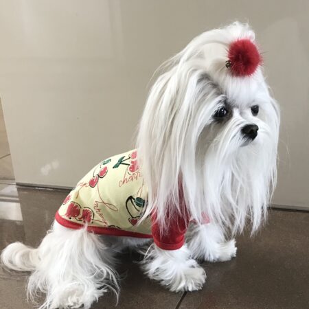 T-Shirt I LOVE CHERRY