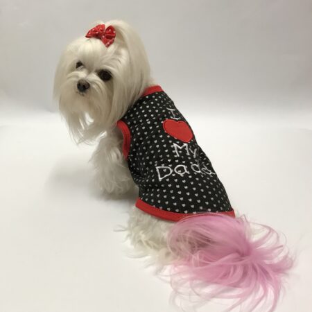 T-Shirt I Love my Daddy