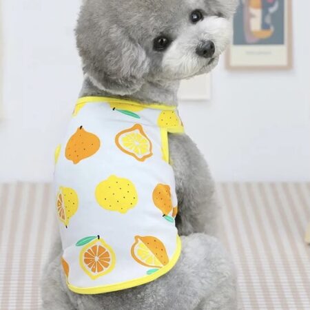 T-Shirt LEMON YELLOW