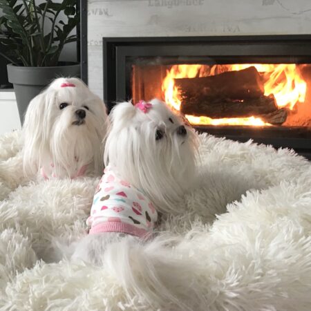 T-Shirt LOVELY HEART PINK