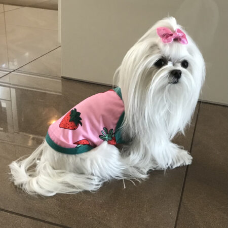 T-Shirt Rosa Erdbeere