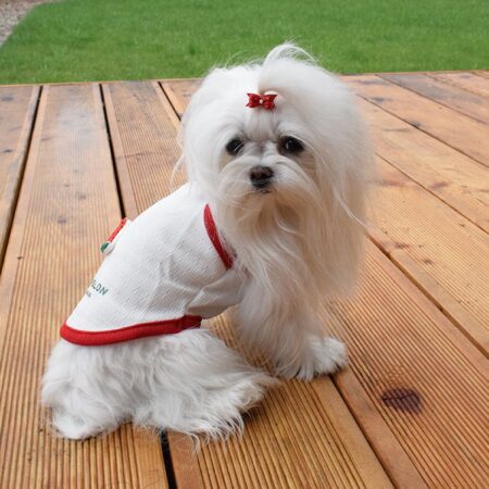 T-Shirt WATERMELON 3 D