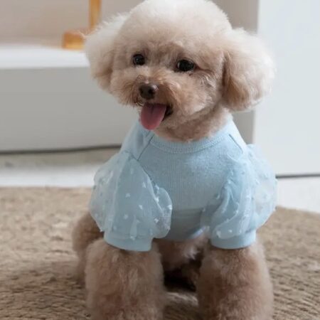 Hundetshirt,T-Shirt BLUE CARMEN