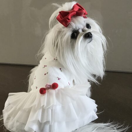 T-Shirt mit Tüllrock CHERRY