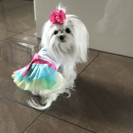 T-Shirt mit Tüllrock KIKI