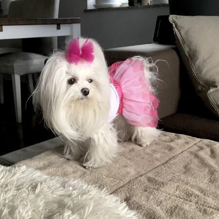 T-Shirt mit Tüllrock MIMI