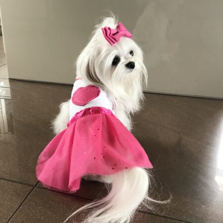 T-Shirt mit Tüllrock LOLA