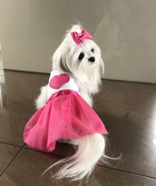 T-Shirt mit Tüllrock LOLA