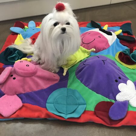 TIERE Schnüffelteppich Spielteppich für Hunde,Katzen,Welpen