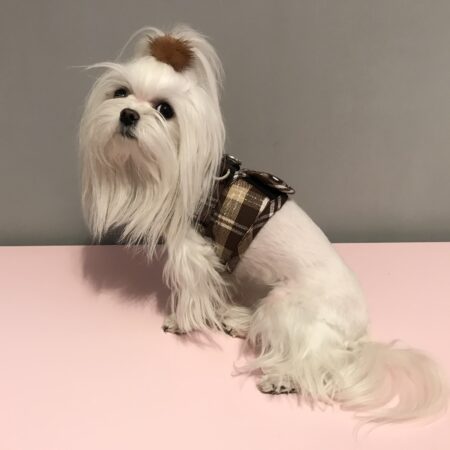 Weste Softgeschirr BEIGE -BRAUN  KARO