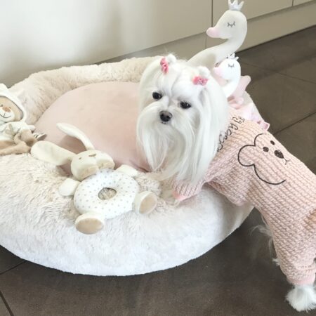 Winteranzug ,Jogginganzug Baby Bear Pink