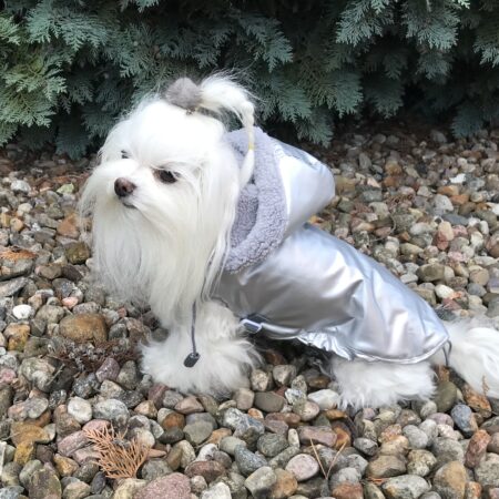 Winterjacke für Hunde LIAM in Silber