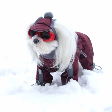 SÜDPOL Wintermantel für Hunde inkl.Mütze,Schal,Geschirr GIRLS ONLY für Hunde