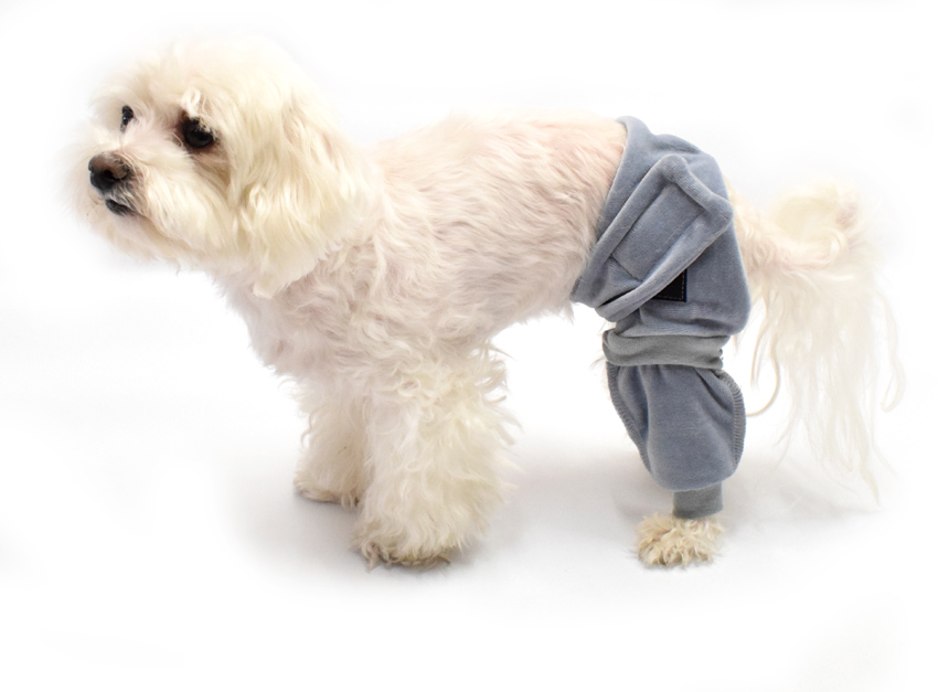 Wundschutz für hinterbeine ,Hunde OP Hosenbein NICKI GREY Restposten